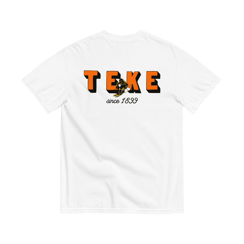 Hit The Slopes Fraternity Tee-white